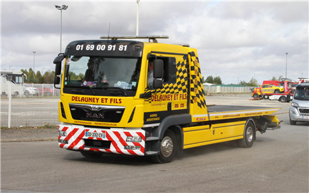 SIMPLEX - DELAUNAY ET FILS